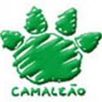 camaleão 2012