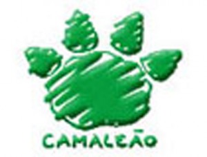 camaleão 2012